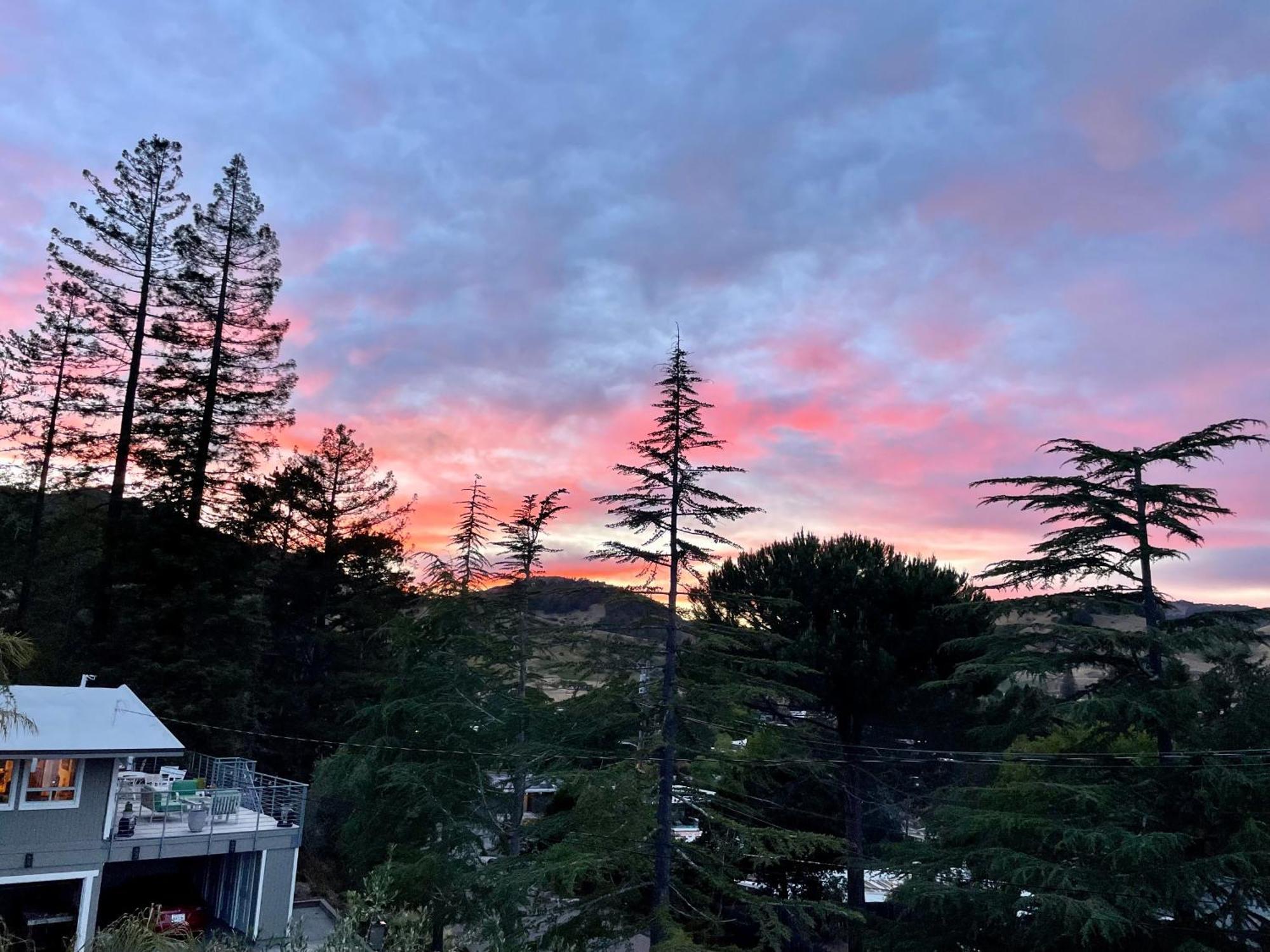 Luxury Suite With Views - San Rafael, Gateway To Sf & Wine Country Εξωτερικό φωτογραφία