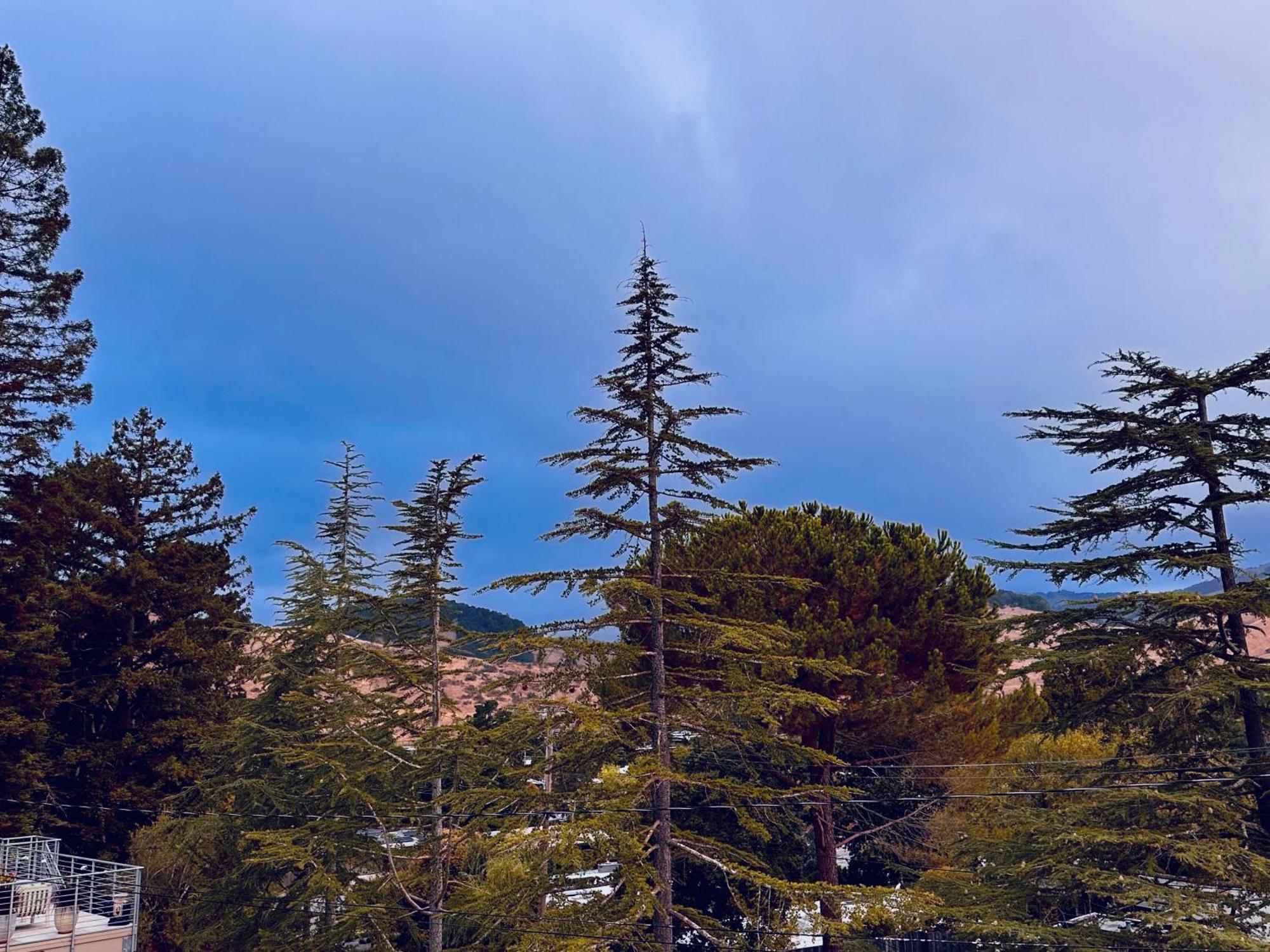 Luxury Suite With Views - San Rafael, Gateway To Sf & Wine Country Εξωτερικό φωτογραφία