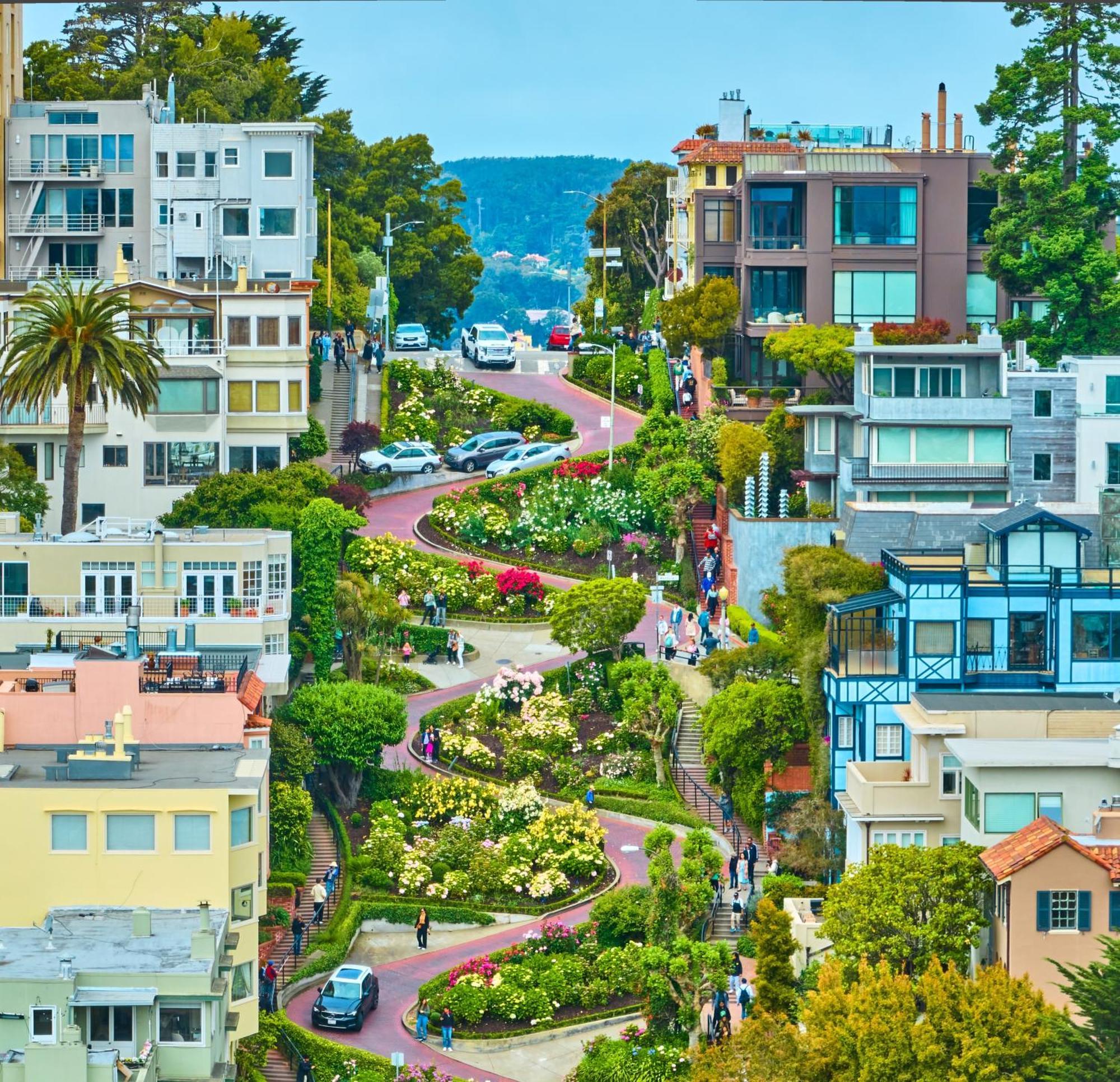 Luxury Suite With Views - San Rafael, Gateway To Sf & Wine Country Εξωτερικό φωτογραφία